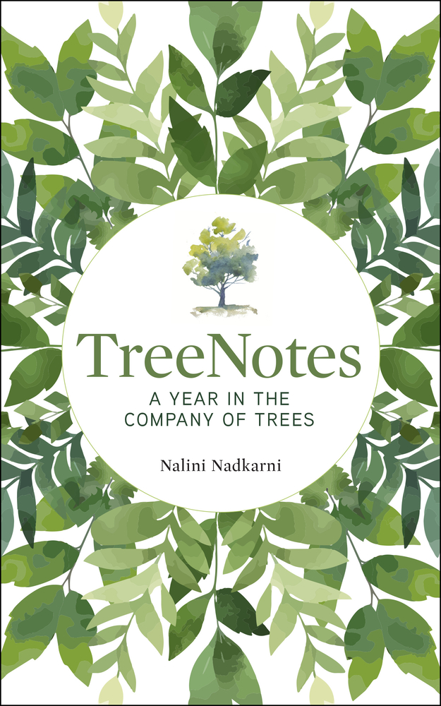 TreeNotes A Year in the Company of Trees