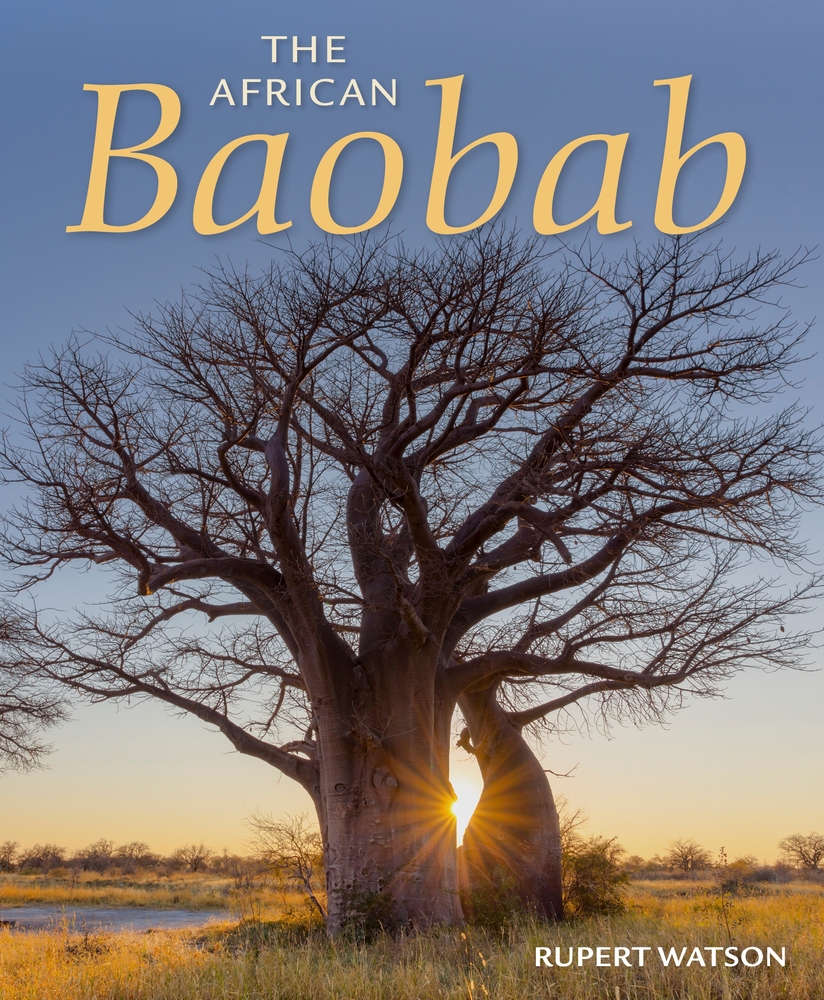 The African Baobab