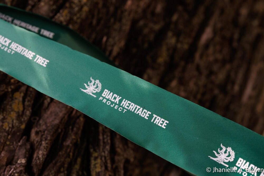 Legacy Tree with BHTP ribbon